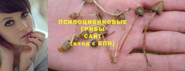 спиды Белоозёрский