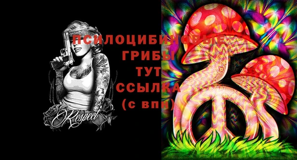 спиды Белоозёрский