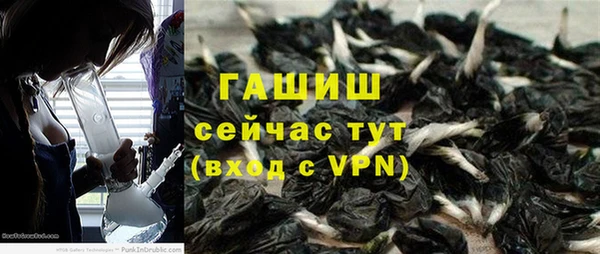 первитин Богданович