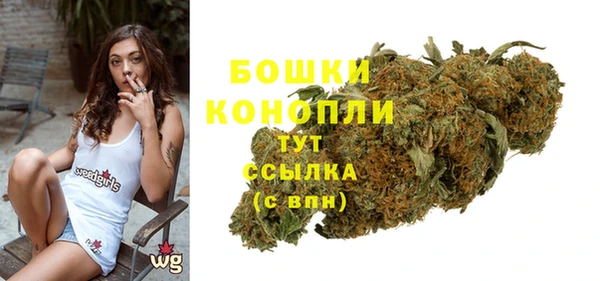 первитин Богданович