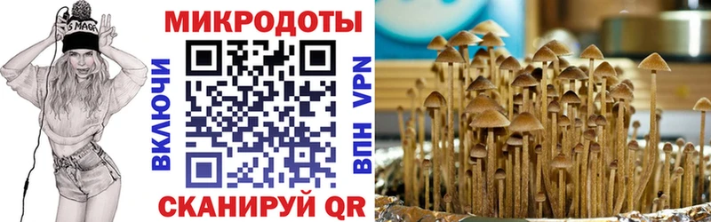 Псилоцибиновые грибы GOLDEN TEACHER  Будённовск 
